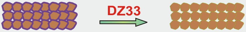 ENCHOICE® DZ33